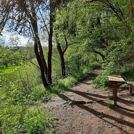 Haus Sonnenburg Дом отдыха *